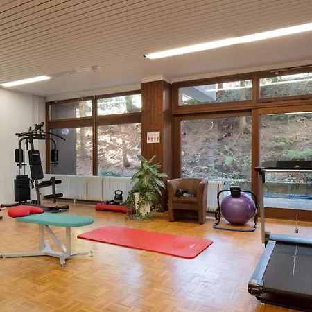 Apartment Fw Moonlight Mit Sauna, Schwimmbad Schoenwald im Schwarzwald